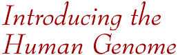 Introducing the HumanGenome